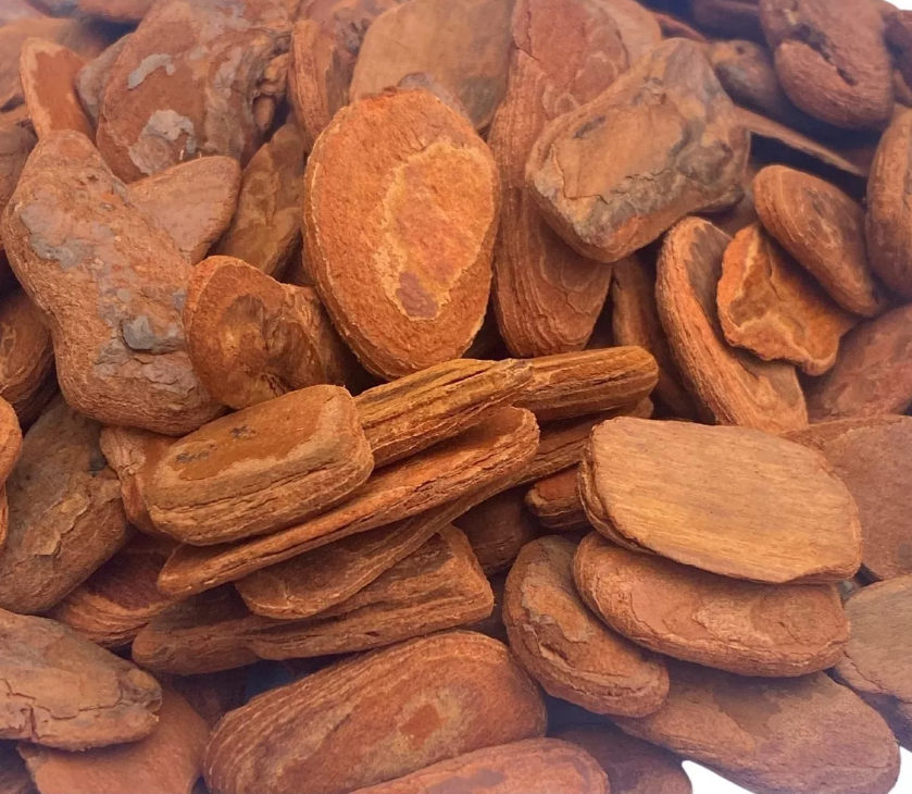 Casca de Pinus Polida Premium - 40 litros